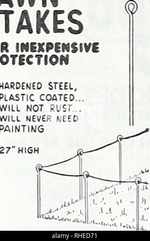 . Bolgiano's Spring 1970. Baumschulen (Gartenbau) Kataloge, Leuchtmittel (Pflanzen); Samen Kataloge Kataloge Kataloge; Gemüse; Gartengeräte und Zubehör Kataloge. Bild-A-Zaun Rasen Stangen aus?^6'n. diam-eter Stange mit einem heavj^ Schicht von harten Tenite Kunststoff. 27 Zoll hoch. In der Farbe grün. Diese rasen Stakes, mit einem Kabel oder Seil laufen durch die Schlaufe, Leisten, kostengünstigen Schutz für frisch gesäte Rasen oder neu bepflanzten Blumenbeeten. $ 1.95 pro Doz. Bild-A-Zaun Wickets. Bitte beachten Sie, dass diese Bilder aus gescannten Seite Bilder, die digital verbesserte fo wurden extrahiert werden Stockfoto