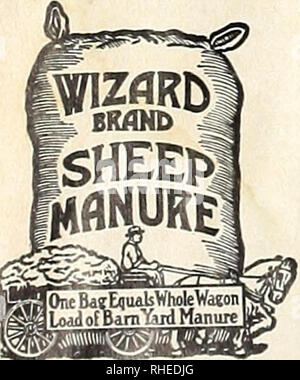 . Bolgiano's Frühjahr 1965 Katalog. Baumschulen (Gartenbau) Kataloge, Leuchtmittel (Pflanzen); Samen Kataloge Kataloge Kataloge; Gemüse; Gartengeräte und Zubehör Kataloge. . Bitte beachten Sie, dass diese Bilder sind von der gescannten Seite Bilder, die digital für die Lesbarkeit verbessert haben mögen - Färbung und Aussehen dieser Abbildungen können nicht perfekt dem Original ähneln. extrahiert. F. W. Bolgiano&amp; Co; Henry G. Gilbert Baumschule und Saatgut Handel Katalog Kollektion. Washington, D.C.: F. W. Bolgiano Stockfoto