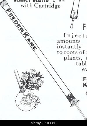 . Bolgiano's Spring 1970. Baumschulen (Gartenbau) Kataloge, Leuchtmittel (Pflanzen); Samen Kataloge Kataloge Kataloge; Gemüse; Gartengeräte und Zubehör Kataloge. Nr. 4-225. Luftreifen moderne Picl&lt;-Warenkorb. Bitte beachten Sie, dass diese Bilder sind von der gescannten Seite Bilder, die digital für die Lesbarkeit verbessert haben mögen - Färbung und Aussehen dieser Abbildungen können nicht perfekt dem Original ähneln. extrahiert. F. W. Bolgiano&amp; Co; Henry G. Gilbert Baumschule und Saatgut Handel Katalog Kollektion. Washington, D.C.: F. W. Bolgiano Stockfoto