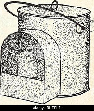 . Bolgiano's Frühjahr 1965 Katalog. Baumschulen (Gartenbau) Kataloge, Leuchtmittel (Pflanzen); Samen Kataloge Kataloge Kataloge; Gemüse; Gartengeräte und Zubehör Kataloge. . Bitte beachten Sie, dass diese Bilder sind von der gescannten Seite Bilder, die digital für die Lesbarkeit verbessert haben mögen - Färbung und Aussehen dieser Abbildungen können nicht perfekt dem Original ähneln. extrahiert. F. W. Bolgiano&amp; Co; Henry G. Gilbert Baumschule und Saatgut Handel Katalog Kollektion. Washington, D.C.: F. W. Bolgiano Stockfoto