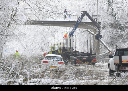 Ein Auto steht als Arbeiter klar Bäume, die durch das Gewicht der Schnee, von Walderslade Woods Road, in Walderslade, Kent, von der erwartet wird, dass sie das ganze Wochenende geschlossen werden aufgegeben. Autofahrer wurden für eine zweite Nacht gestrandet als schweren Schnee bedeckten Straßen und Das winterliche Wetter Verkehr zum Stillstand gebracht. Stockfoto