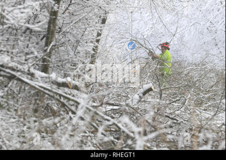 Bäume hat durch das Gewicht der Schnee sind von Walderslade Woods Road, in Walderslade, Kent, von der erwartet wird, dass sie das ganze Wochenende geschlossen werden gelöscht. Autofahrer wurden für eine zweite Nacht gestrandet als schweren Schnee bedeckten Straßen und Das winterliche Wetter Verkehr zum Stillstand gebracht. Schneeregen und Schnee setzte in den frühen Morgenstunden des Samstag Morgen auf Autobahnen über Kent und Hampshire, und verursacht gefährliche Bedingungen. Stockfoto