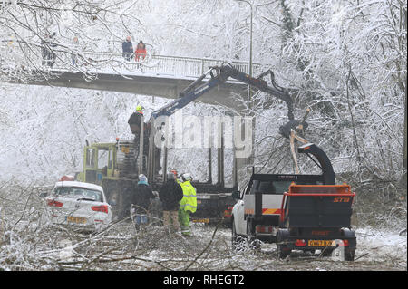 Ein Auto steht als Arbeiter klar Bäume, die durch das Gewicht der Schnee, von Walderslade Woods Road, in Walderslade, Kent, von der erwartet wird, dass sie das ganze Wochenende geschlossen werden aufgegeben. Autofahrer wurden für eine zweite Nacht gestrandet als schweren Schnee bedeckten Straßen und Das winterliche Wetter Verkehr zum Stillstand gebracht. Stockfoto