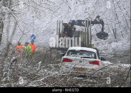 Ein Auto steht als Arbeiter klar Bäume, die durch das Gewicht der Schnee, von Walderslade Woods Road, in Walderslade, Kent, von der erwartet wird, dass sie das ganze Wochenende geschlossen werden aufgegeben. Autofahrer wurden für eine zweite Nacht gestrandet als schweren Schnee bedeckten Straßen und Das winterliche Wetter Verkehr zum Stillstand gebracht. Stockfoto