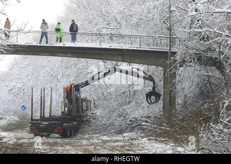 Leute beobachten, die von einem Steg, wie Bäume, die durch das Gewicht der Schnee von Walderslade Woods Road, in Walderslade, Kent, von der erwartet wird, dass sie das ganze Wochenende geschlossen werden gelöscht. Autofahrer wurden für eine zweite Nacht gestrandet als schweren Schnee bedeckten Straßen und Das winterliche Wetter Verkehr zum Stillstand gebracht. Schneeregen und Schnee setzte in den frühen Morgenstunden des Samstag Morgen auf Autobahnen über Kent und Hampshire, und verursacht gefährliche Bedingungen. Stockfoto