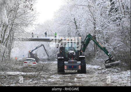 Leute beobachten, die von einem Steg, wie Bäume, die durch das Gewicht der Schnee von Walderslade Woods Road, in Walderslade, Kent, von der erwartet wird, dass sie das ganze Wochenende geschlossen werden gelöscht. Autofahrer wurden für eine zweite Nacht gestrandet als schweren Schnee bedeckten Straßen und Das winterliche Wetter Verkehr zum Stillstand gebracht. Schneeregen und Schnee setzte in den frühen Morgenstunden des Samstag Morgen auf Autobahnen über Kent und Hampshire, und verursacht gefährliche Bedingungen. Stockfoto