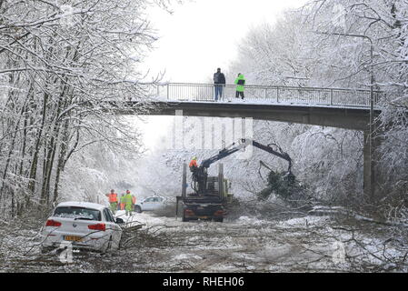 Leute beobachten, die von einem Steg, wie Bäume, die durch das Gewicht der Schnee von Walderslade Woods Road, in Walderslade, Kent, von der erwartet wird, dass sie das ganze Wochenende geschlossen werden gelöscht. Autofahrer wurden für eine zweite Nacht gestrandet als schweren Schnee bedeckten Straßen und Das winterliche Wetter Verkehr zum Stillstand gebracht. Schneeregen und Schnee setzte in den frühen Morgenstunden des Samstag Morgen auf Autobahnen über Kent und Hampshire, und verursacht gefährliche Bedingungen. Stockfoto