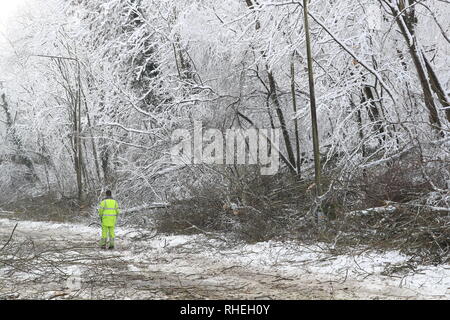 Bäume hat durch das Gewicht der Schnee sind von Walderslade Woods Road, in Walderslade, Kent, von der erwartet wird, dass sie das ganze Wochenende geschlossen werden gelöscht. Autofahrer wurden für eine zweite Nacht gestrandet als schweren Schnee bedeckten Straßen und Das winterliche Wetter Verkehr zum Stillstand gebracht. Schneeregen und Schnee setzte in den frühen Morgenstunden des Samstag Morgen auf Autobahnen über Kent und Hampshire, und verursacht gefährliche Bedingungen. Stockfoto