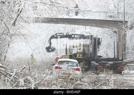 Ein Auto steht als Arbeiter klar Bäume, die durch das Gewicht der Schnee, von Walderslade Woods Road, in Walderslade, Kent, von der erwartet wird, dass sie das ganze Wochenende geschlossen werden aufgegeben. Autofahrer wurden für eine zweite Nacht gestrandet als schweren Schnee bedeckten Straßen und Das winterliche Wetter Verkehr zum Stillstand gebracht. Stockfoto