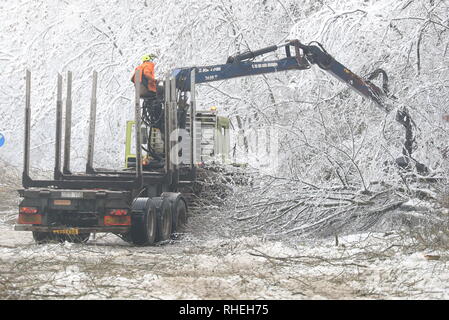 Bäume hat durch das Gewicht der Schnee sind von Walderslade Woods Road, in Walderslade, Kent, von der erwartet wird, dass sie das ganze Wochenende geschlossen werden gelöscht. Autofahrer wurden für eine zweite Nacht gestrandet als schweren Schnee bedeckten Straßen und Das winterliche Wetter Verkehr zum Stillstand gebracht. Schneeregen und Schnee setzte in den frühen Morgenstunden des Samstag Morgen auf Autobahnen über Kent und Hampshire, und verursacht gefährliche Bedingungen. Stockfoto