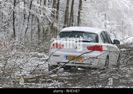 Ein Auto steht als Arbeiter klar Bäume, die durch das Gewicht der Schnee, von Walderslade Woods Road, in Walderslade, Kent, von der erwartet wird, dass sie das ganze Wochenende geschlossen werden aufgegeben. Autofahrer wurden für eine zweite Nacht gestrandet als schweren Schnee bedeckten Straßen und Das winterliche Wetter Verkehr zum Stillstand gebracht. Stockfoto