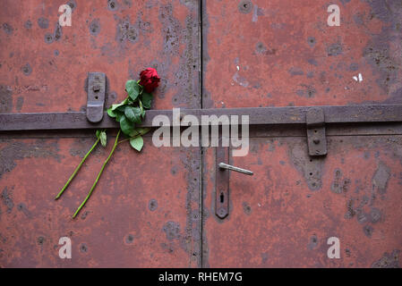 Eine rose Hommage an die Türen der "Block 10", für Gefangene Tierversuchen durch Deutsche ärzte verwendet, KZ Auschwitz, Polen, Europa. Stockfoto