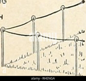 . Bolgiano in Capitol City Seeds: 1963. Baumschulen (Gartenbau) Kataloge, Leuchtmittel (Pflanzen) Kataloge Kataloge; Gemüse; Garten Werkzeuge Kataloge; Samen Kataloge. Bild-A-Zaun Rasen Stangen aus^e in. Durchmesser Stange beschichtet mit eine schwere Schicht der harten Tenite Kunststoff. 27 Zoll hoch. In der Farbe grün. Diese rasen Stakes, mit einem Kabel oder Seil laufen durch die Schlaufe, die es sich leisten, in - teurer Schutz für frisch gesäte Rasen oder neu bepflanzten Blumenbeeten. 1,50 $ pro dtz.. Bitte beachten Sie, dass diese Bilder aus gescannten Seite Bilder, die digital für die Lesbarkeit verbessert haben mögen - Färbung und extrahiert werden Stockfoto