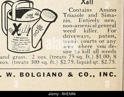 . Bolgiano in Capitol City Seeds: 1963. Baumschulen (Gartenbau) Kataloge, Leuchtmittel (Pflanzen) Kataloge Kataloge; Gemüse; Garten Werkzeuge Kataloge; Samen Kataloge. F. W. BOLGIANO &Amp; CO. Bitte beachten Sie, dass diese Bilder sind von der gescannten Seite Bilder, die digital für die Lesbarkeit verbessert haben mögen - Färbung und Aussehen dieser Abbildungen können nicht perfekt dem Original ähneln. extrahiert. F. W. Bolgiano&amp; Co; Henry G. Gilbert Baumschule und Saatgut Handel Katalog Kollektion. Washington, D.C.: F. W. Bolgiano &Amp; Co., Inc. Stockfoto