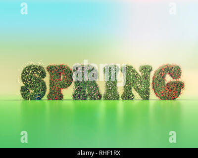 3D-Rendering von grasartigen Feder Wort mit Frühling Blumen auf farbigen Hintergrund Stockfoto