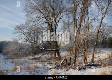 Chesterbrook PA USA -02022019: Haus im Wald nach Schnee im Sonnenlicht gegen bewölkter Himmel Stockfoto