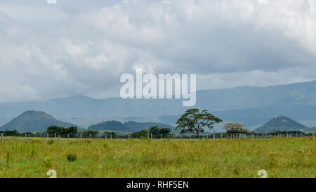 Savannah Grünland gegen einen Berg Hintergrund, Naivasha, Kenia Stockfoto