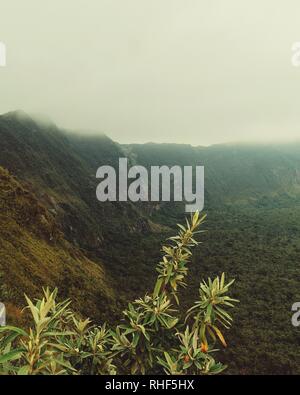 Die Neblige Landschaften des Mount Longonot, Kenia Stockfoto