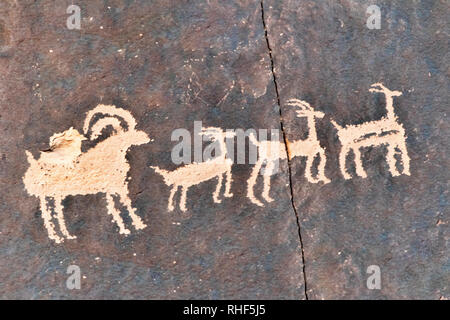 Petroglyphen von Newspaper Rock in UT 211 in der Nähe von Monticello in Utah, USA Stockfoto