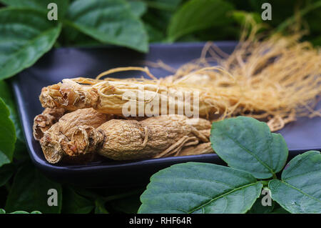 Ginseng Wurzel auf die schwarze Platte mit grün Natur Hintergrund. Stockfoto