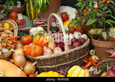 Geernteten Gemüse in Weidenkörbe Stockfoto