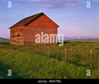 USA, Oregon, Wallowa County, Zumwalt Prairie Preserve, verwitterte Scheune und gebürtige Prairiegräser mit Wallowa Berge in der Ferne. Stockfoto