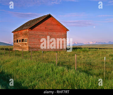 USA, Oregon, Wallowa County, Zumwalt Prairie Preserve, verwitterte Scheune und gebürtige Prairiegräser mit Wallowa Berge in der Ferne. Stockfoto