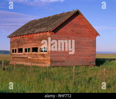 USA, Oregon, Wallowa County, Zumwalt Prairie Preserve, verwitterte Scheune und gebürtige Prairiegräser mit Wallowa Berge in der Ferne. Stockfoto