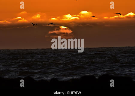 Sonnenuntergang über Pacific Coast Stockfoto