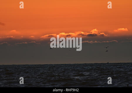 Sonnenuntergang über Pacific Coast Stockfoto