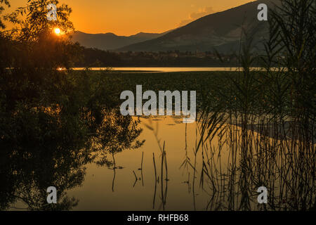 Annone See lecco Sumpf bei Sonnenuntergang im Sommer Stockfoto