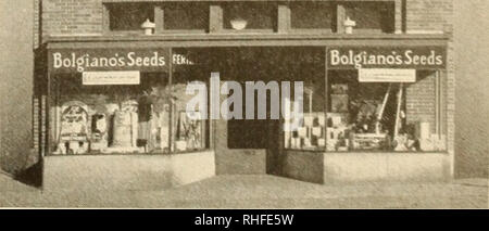 . Bolgiano in Capitol City Samen für 1940. Baumschulen (Gartenbau) Kataloge, Leuchtmittel (Pflanzen) Kataloge Kataloge; Gemüse; Garten Werkzeuge Kataloge; Samen Kataloge. Sechshundert sieben E ST., N.W., STORE. Bitte beachten Sie, dass diese Bilder sind von der gescannten Seite Bilder, die digital für die Lesbarkeit verbessert haben mögen - Färbung und Aussehen dieser Abbildungen können nicht perfekt dem Original ähneln. extrahiert. F. W. Bolgiano&amp; Co; Henry G. Gilbert Baumschule und Saatgut Handel Katalog Kollektion. Washington, D.C.: F. W. Bolgiano Stockfoto