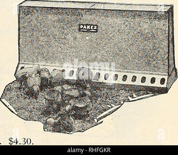 . Bolgiano von Baltimore garten Guide 1929. Samen Maryland Baltimore Kataloge; Gemüse Maryland Baltimore Kataloge; Baumschulen (Gartenbau) Maryland Baltimore Kataloge; Blumen Samen Kataloge; Gartengeräte und Zubehör Kataloge. . Bitte beachten Sie, dass diese Bilder sind von der gescannten Seite Bilder, die digital für die Lesbarkeit verbessert haben mögen - Färbung und Aussehen dieser Abbildungen können nicht perfekt dem Original ähneln. extrahiert. J. Bolgiano &Amp; Sohn; Henry G. Gilbert Baumschule und Saatgut Handel Katalog Kollektion. Baltimore, Md.: Bolgiano Stockfoto