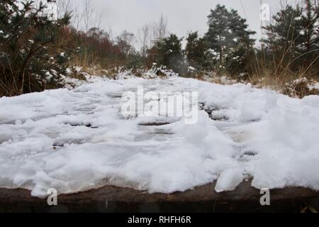 Nahaufnahme von einem Fußweg, Holzbrücke oder Promenade in der Landschaft, in Eis und Schnee mit Fußspuren bedeckt; zwischen Bäumen und Gras Stockfoto