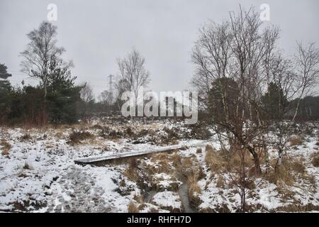 Ein Holzsteg/Boardwalk über eine gefrorene Moor auf einem Pfad durch ein Heide oder Moor. Heather, Gräser, Bäume leicht mit Schnee bedeckt. Graue Wolke Stockfoto