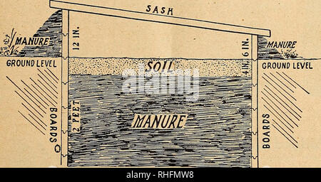 . Bolgiano von Baltimore garten Guide 1926. Samen Maryland Baltimore Kataloge; Gemüse Maryland Baltimore Kataloge; Baumschulen (Gartenbau) Maryland Baltimore Kataloge; Blumen Samen Kataloge; Gartengeräte und Zubehör Kataloge; Geflügel Ausrüstungen und Zubehör Kataloge. Die J. Bolgiano Seed Company, Baltimore, Md. Verpflanzen Verpflanzung wird am besten in. Wetter am späten Nachmittag fertig. Die sämlinge sollten sorgfältig durch eine Transplantation von Kelle gehoben und in den Garten, die bisher von einem guten Anbau des Bodens vorbereitet wurde. Der sämling Shou Stockfoto