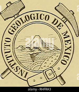 . Boletín del Instituto Geológico de México. Geologie; Geologie; Paläontologie. INSTITUTO GEOLÓGICO DE MÉXICO. Direktor, José G. Aguilera. LOS ÜEIADEEOS DE FIEEEO DEL CERRO DE MERCADO DE DURANGO POR M.F. UNIL Y DE LA HACIENDA DE TAQUERÍAS, ESTADO DE HIDALGO POR J. D. BÓSE VILLARELLO Y E... MÉXICO OFICINA TIPOGRÁFICA DE LA SECRETARÍA DE FOMENTO Calle de San Andrés núni. 15 (Avenida Oriente 51.) 19 0 2. Bitte beachten Sie, dass diese Bilder extrahiert werden aus der gescannten Seite Bilder, die digital haben für die Lesbarkeit verbessert - Färbung und Aussehen dieser Abbildungen können nicht Perfekt resem Stockfoto