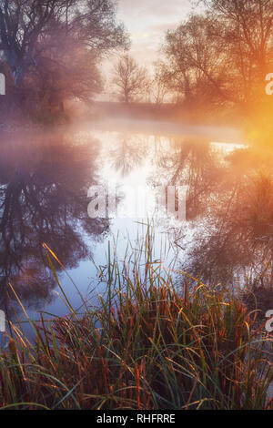 Bunte morgen mit Sonnenaufgang über Foggy River Stockfoto