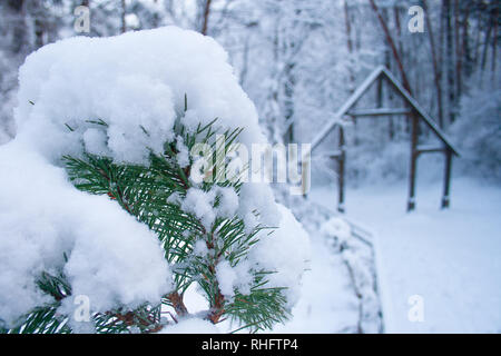 Wald im Winter mit Pine Nadel Blätter durch Schnee und geheimnisvolle Holztür abgedeckt Stockfoto