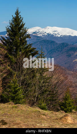 Der frühe Frühling Karpaten plateau Landschaft mit schneebedeckten Grat tops in weit, Ukraine. Stockfoto