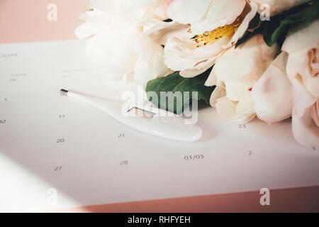 Eisprungkalender mit gefälschten rosa Pfingstrose und Thermometer Stockfoto