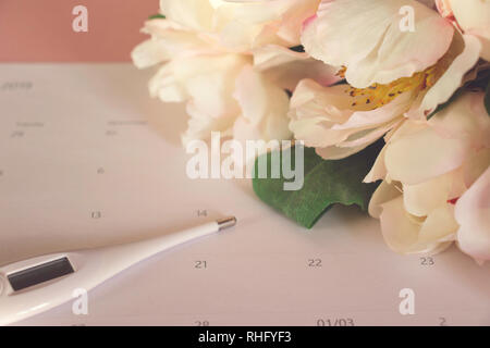 Eisprungkalender mit gefälschten rosa Pfingstrose und Thermometer Stockfoto