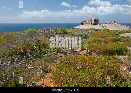 Allgemeine Ansicht der Remarkable Rocks, Kangaroo Island, South Australia, Australien Stockfoto