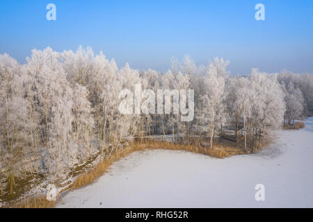 Rime und Raureif auf den Bäumen. Luftaufnahme des verschneiten Wald und See von oben. Winterlandschaft. Landschaft Foto mit Drohne erfasst. Stockfoto