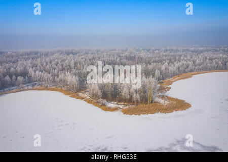 Rime und Raureif auf den Bäumen. Luftaufnahme des verschneiten Wald und See von oben. Winterlandschaft. Landschaft Foto mit Drohne erfasst. Stockfoto