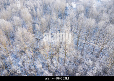 Rime und Raureif auf den Bäumen. Luftaufnahme des verschneiten Wald und See von oben. Winterlandschaft. Landschaft Foto mit Drohne erfasst. Stockfoto