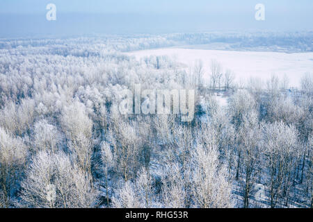 Rime und Raureif auf den Bäumen. Luftaufnahme des verschneiten Wald und See von oben. Winterlandschaft. Landschaft Foto mit Drohne erfasst. Stockfoto