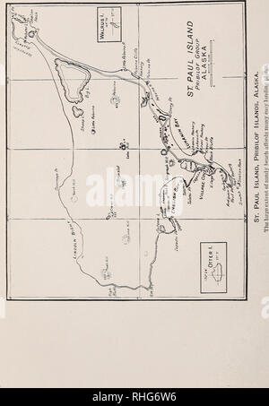 . Eine biologische Untersuchung der Pribilof Inseln, Alaska. I. in der Vögel und Säugetiere. Zoologie Alaska Pribilof Inseln. Nordamerikanische Fauna Nr. 46, US Dept. Agr., Biologische Umfrage. Platte III. Bitte beachten Sie, dass diese Bilder sind von der gescannten Seite Bilder, die digital für die Lesbarkeit verbessert haben mögen - Färbung und Aussehen dieser Abbildungen können nicht perfekt dem Original ähneln. extrahiert. In den Vereinigten Staaten. Büro der biologischen Erhebung; McAtee, W. L. (Waldo Lee), 1883-1962; Preble, Edward Alexander, 1871-1957. Washington, Govt. Drucken. Aus. Stockfoto