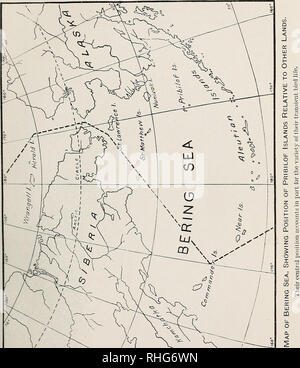 . Eine biologische Untersuchung der Pribilof Inseln, Alaska. I. in der Vögel und Säugetiere. Zoologie Alaska Pribilof Inseln. Nordamerikanische Fauna Nr. 46, US Dept. Agr., Biologische Umfrage. Platte II. Bitte beachten Sie, dass diese Bilder sind von der gescannten Seite Bilder, die digital für die Lesbarkeit verbessert haben mögen - Färbung und Aussehen dieser Abbildungen können nicht perfekt dem Original ähneln. extrahiert. In den Vereinigten Staaten. Büro der biologischen Erhebung; McAtee, W. L. (Waldo Lee), 1883-1962; Preble, Edward Alexander, 1871-1957. Washington, Govt. Drucken. Aus. Stockfoto