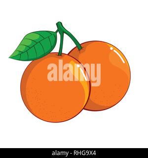 Abbildung: Orange isoliert auf weißem Hintergrund, frische, gesunde Lebensmittel, Bio natürliche Frucht. Vector Illustration. Stock Vektor